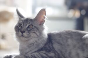 0d7a7bb1-b3b2-46de-bed2-c42794d5ff87