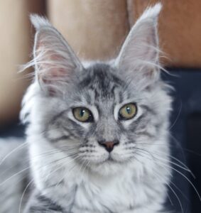 ff692bbb-ddd3-4982-aa23-847965227b8e